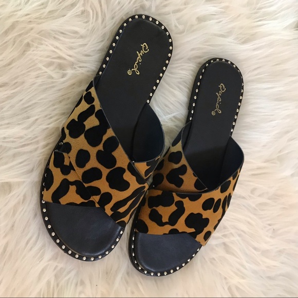 Qupid Leopard Bossy Sandals - Picture 12 of 16